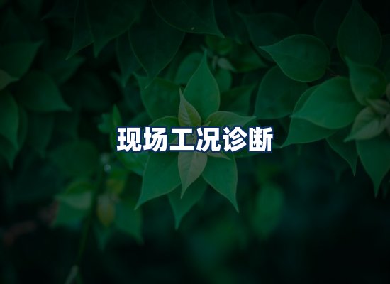 专业团队办公环境