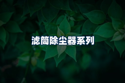 滤筒除尘器展示