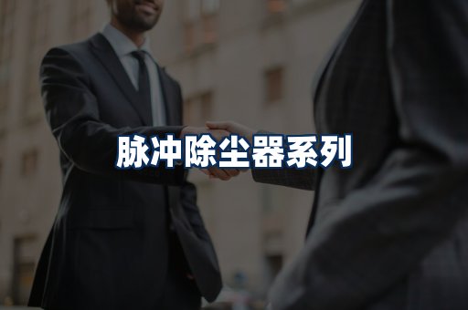 脉冲除尘器展示