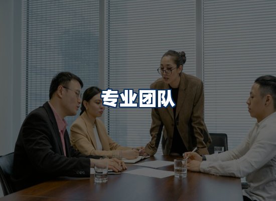 专业团队